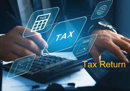 একাধিক টিন থাকা অবস্থায় অনলাইন রিটার্ন সাবমিশন: টিন বাতিলের জন্য প্রয়োজনীয় পদক্ষেপ